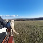 Csiszarhegyi Vadaszhaz * Karád