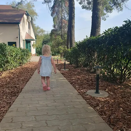 Bed & Breakfast Csiszarhegyi Vadaszhaz