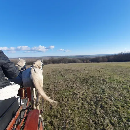 Csiszarhegyi Vadaszhaz * Karad