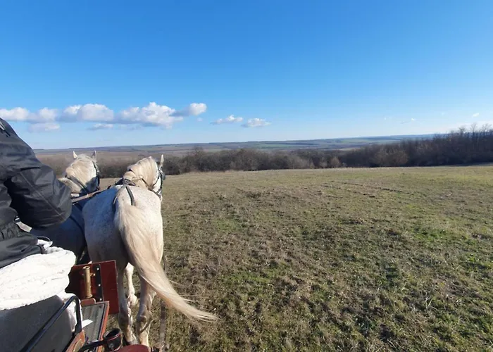 Csiszarhegyi Vadaszhaz * Karád